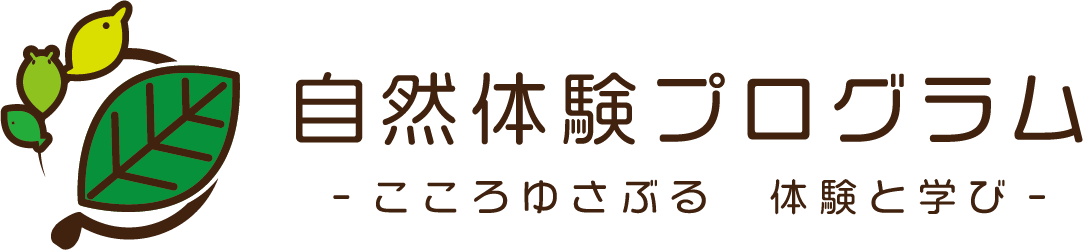 自然体験プログラム